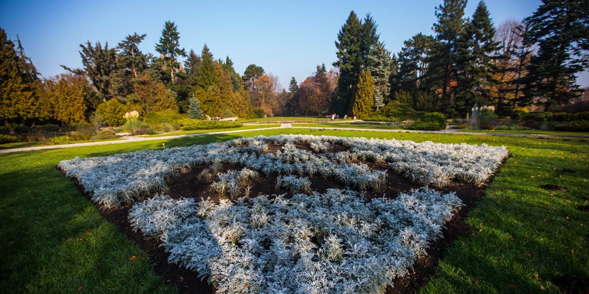 Ogród Botaniczny będzie czynny całą zimę