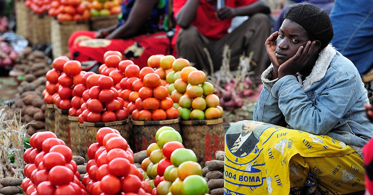 We predicted food prices rising but Agric Minister denied it – Peasant Farmers - Vimarsana News