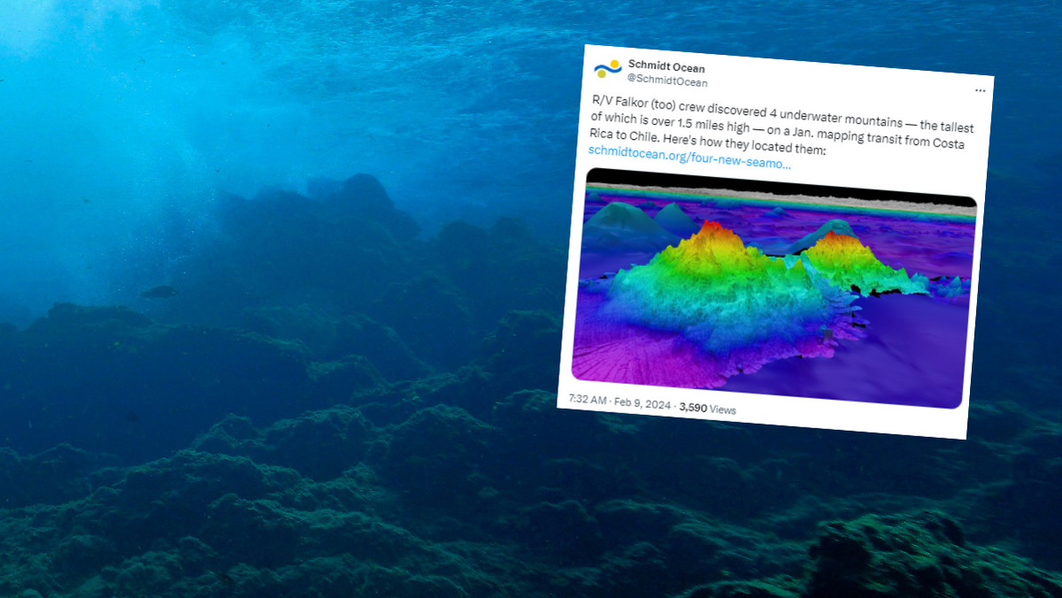 Niezwykłe odkrycie na dnie oceanu. Trzy ogromne wulkany