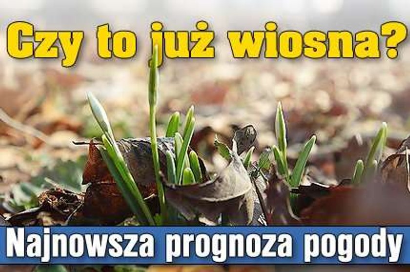 Czy to już wiosna? Najnowsza prognoza pogody 