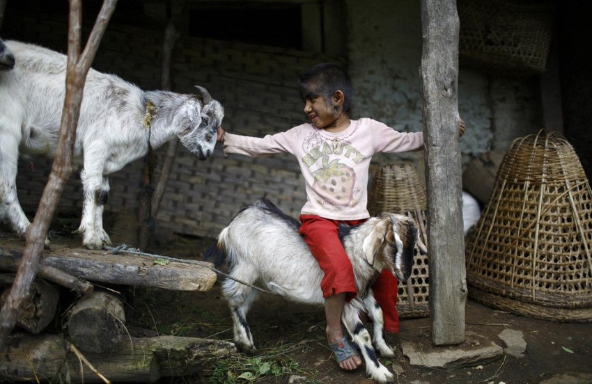 Devojčica krupnih očiju uživa u igri sa krznenim drugarima