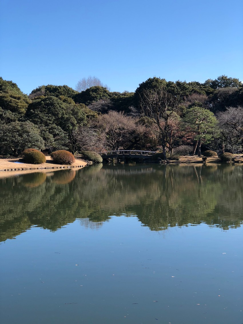 Život sa amazonskim plemenom