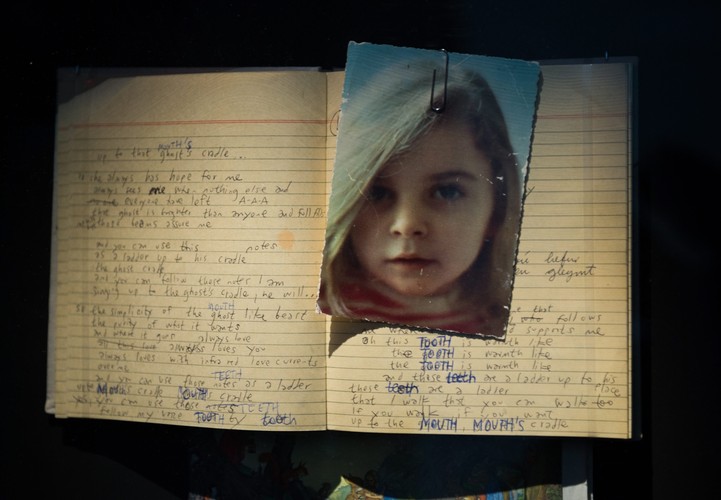 Wystawa poświęcona Björk w Museum of Modern Art