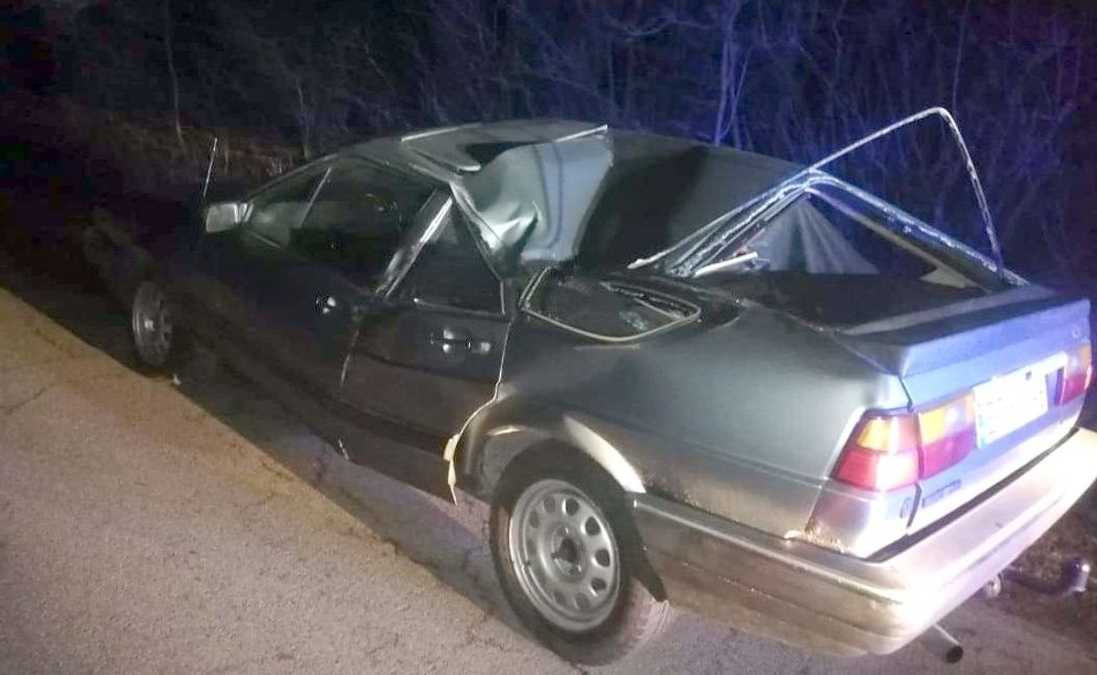 VW Passat złamany przez drzewo