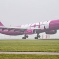 Kolejna linia lotnicza upada. Islandzki WOW Air zawiesza działalność
