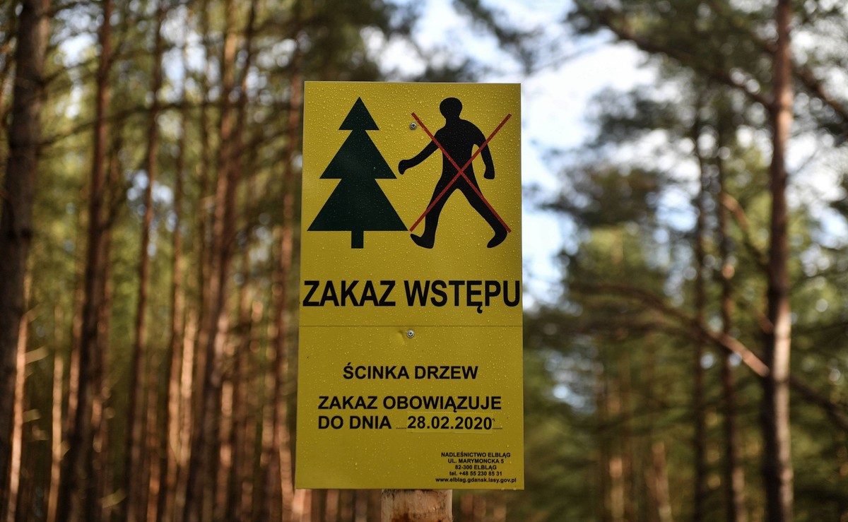 Mierzeja Wiślana
