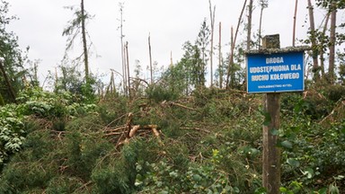 Trwają kontrole obozów namiotowych. W Pomorskiem ruszą jutro