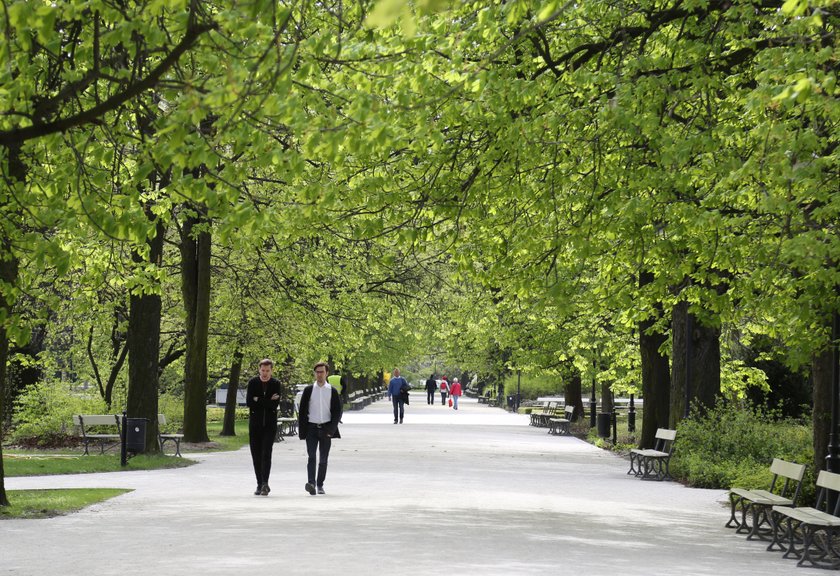 Niezwykłe miejsca w stołecznych parkach