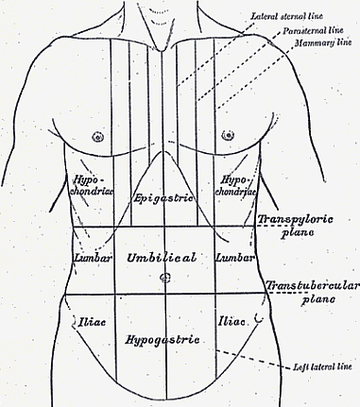 Dr. Török Alexander