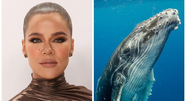 Khloe Kardashian complained that her kids aren't giving her an easy time about her whale-phobia.Taylor Hill/FilmMagic // Getty Images