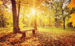 IMGW: Sobota ciepła i pogodna, na południu nawet 19 st. C [PROGNOZA POGODY]