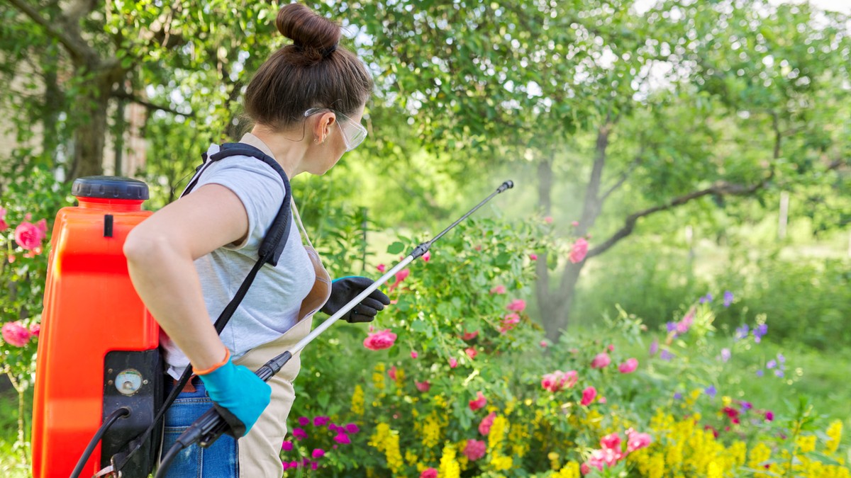 Permetezd ezt szét a kertben, és ontják a gyümölcsöket és  a zöldségeket a növényeid!