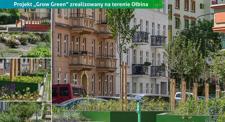 Projekt Grow Green na terenie Ołbina to także część błękitno-zielonej infrastruktury Wrocławia. 