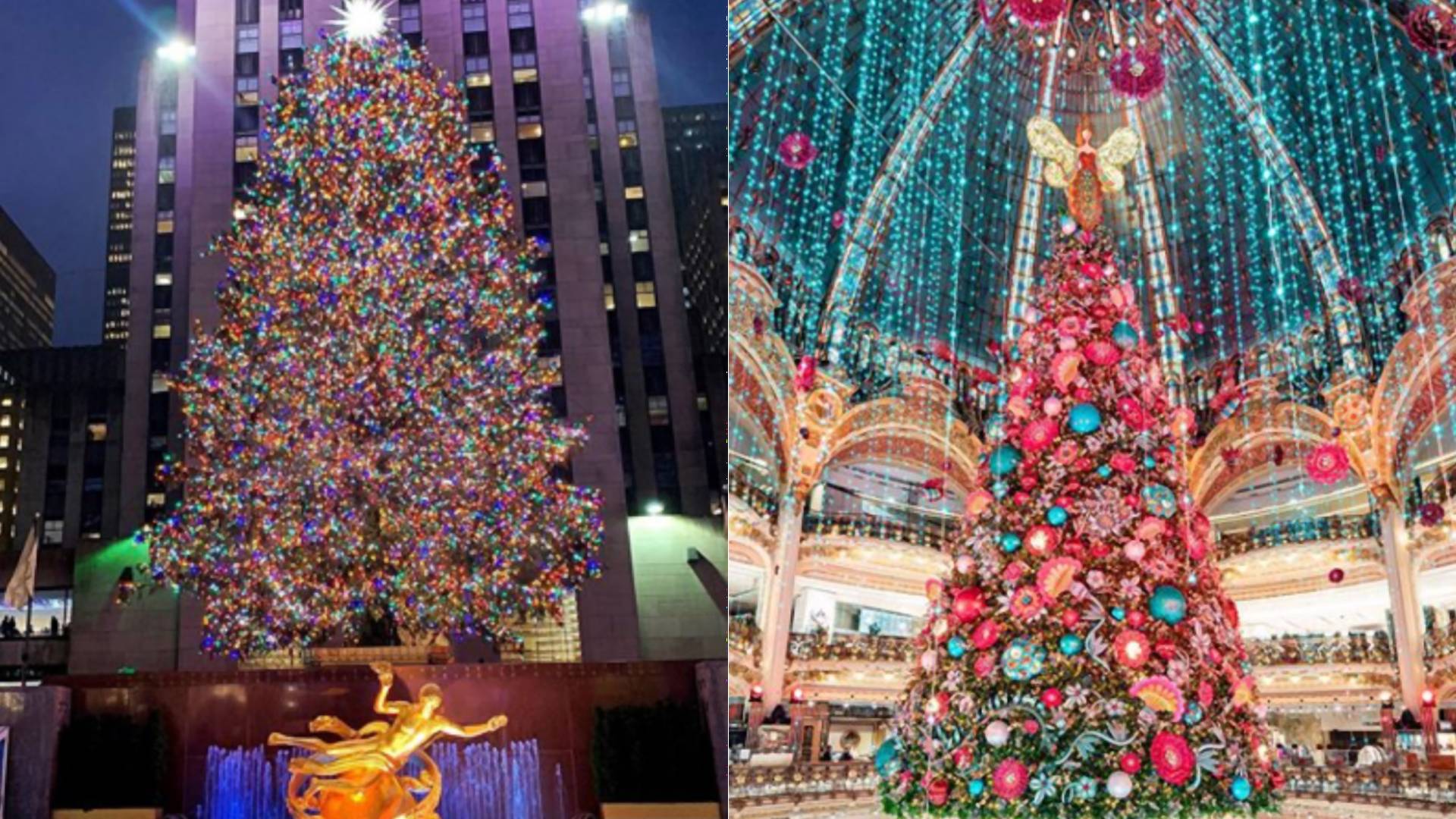 Tradičné, honosné i moderné. Najkrajšie vianočné stromčeky v svetových metropolách