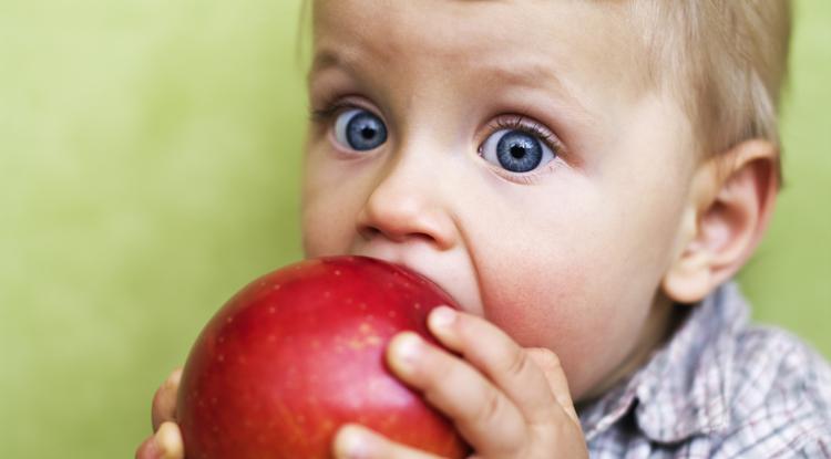 Az almát is érdemes egészben adni a gyermekeknek Fotó: Getty Images