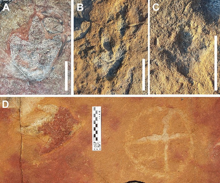Petroglify odkryte obok śladów dinozaurów, fot. Troiano et al., Scientific Reports, 2024 (CC BY 4.0)