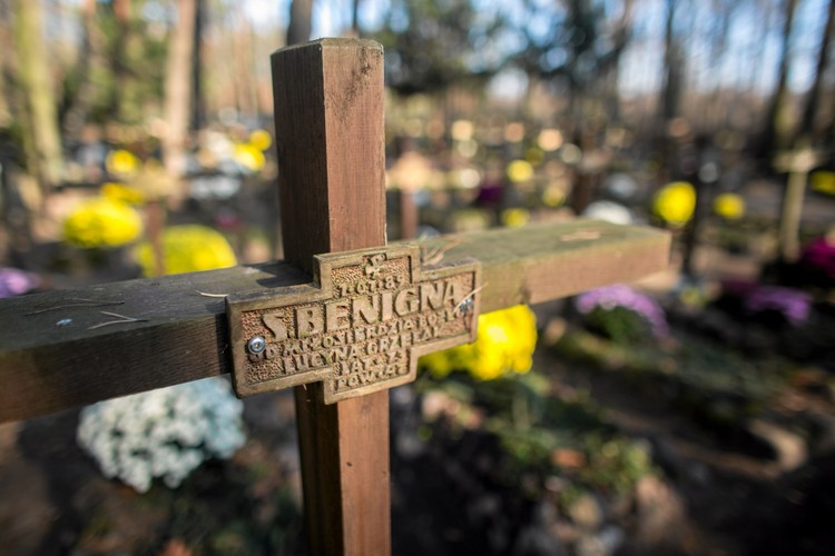 Cmentarz leśny w Laskach