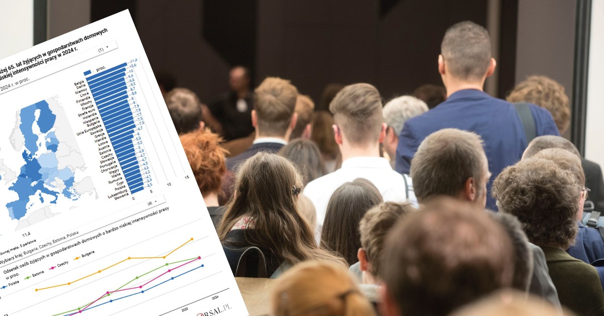 Jaka jest intensywność pracy w gospodarstwach domowych w Polsce? Zaskakujące dane Eurostatu [MAPA]
