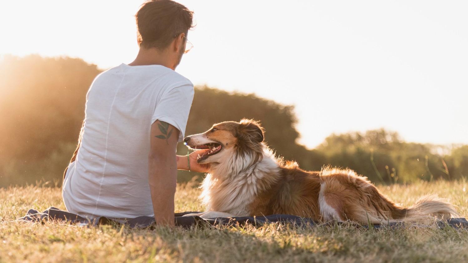 Málo známy signál, že váš pes vás čoskoro „navždy opustí “.