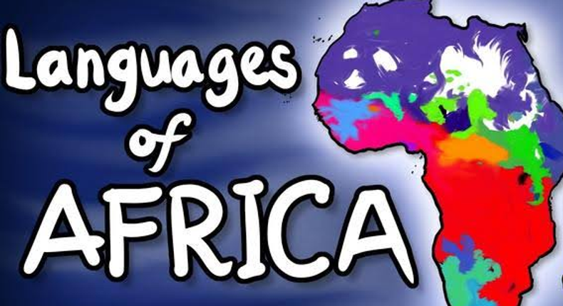 Top 5 African countries with the highest number of languages