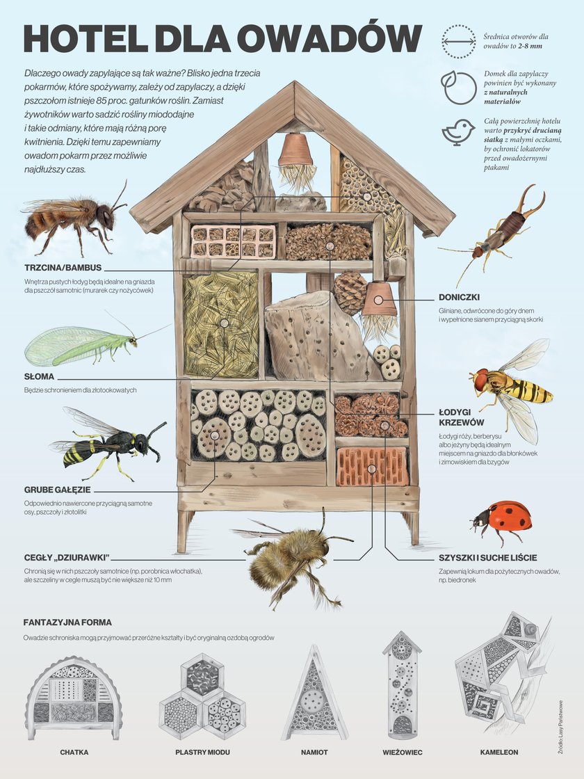 „Infografika. Wiedza w obrazach"