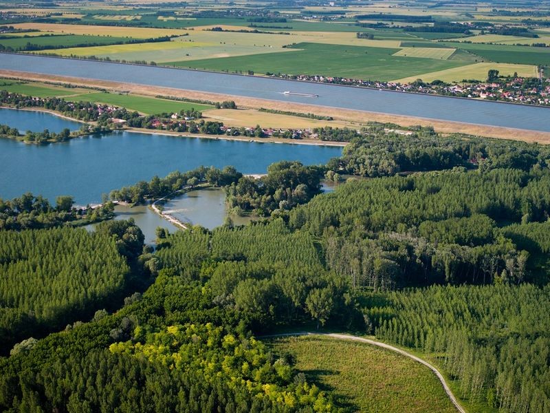 Dunajské luhy - Dunajskie Łęgi (Słowacja)