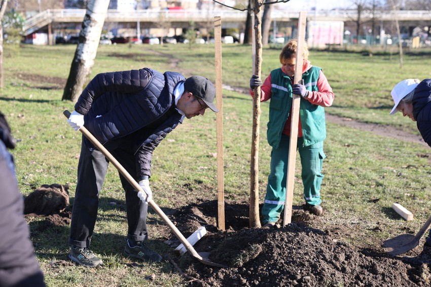 Obnavljanje Limanskog parka