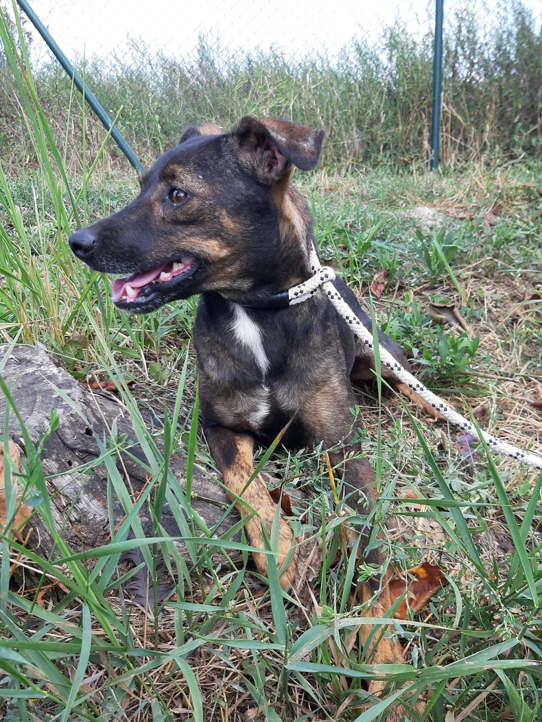 MIljan je star godinu i po dana