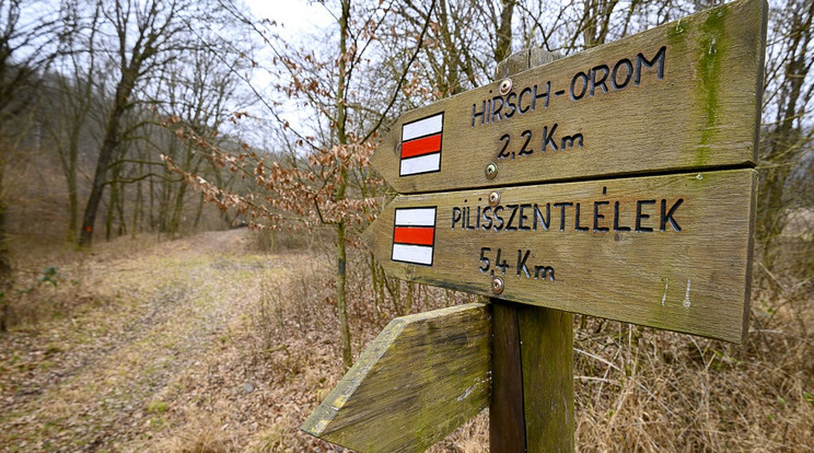A 9 kilométeres túra Pilismarótról indul és Pilisszentlélekre visz. Menet közben megmászhatjuk a Hirsch-ormot is.