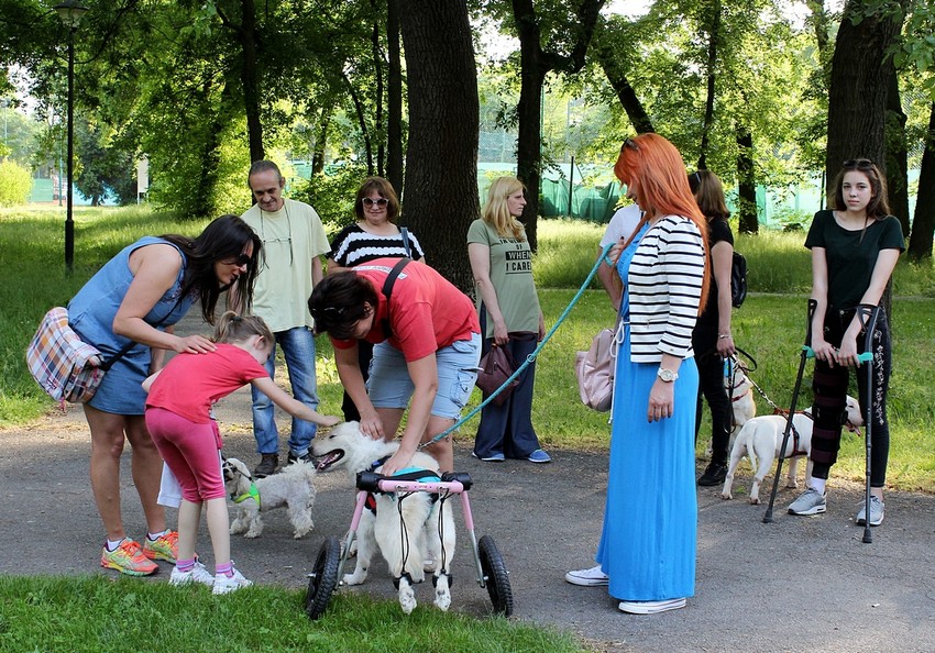 Na desetine vlasnika dovelo svoje kerove u Dudovu šumu