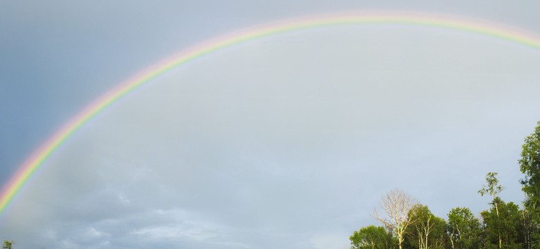 To dziś, a nie jutro przyjdzie do nas wiosna!