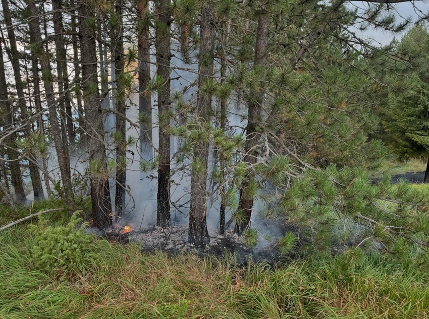Na sajtu RHMZ moguće je pratiti procenu rizika od izbijanja šumskog požara na određenom području
