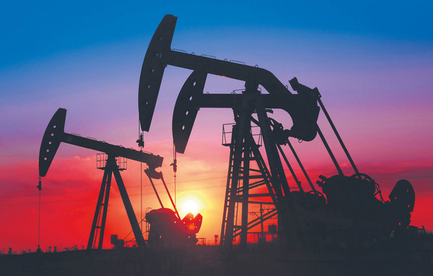 Część analityków spodziewa się, że cena ropy w tym roku przekroczy 100 dol. za baryłkę