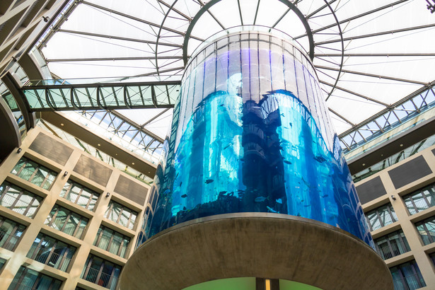 Prokuratorzy w Berlinie zamknęli swoje śledztwo w sprawie spektakularnego zawalenia się ogromnego akwarium w grudniu ubiegłego roku