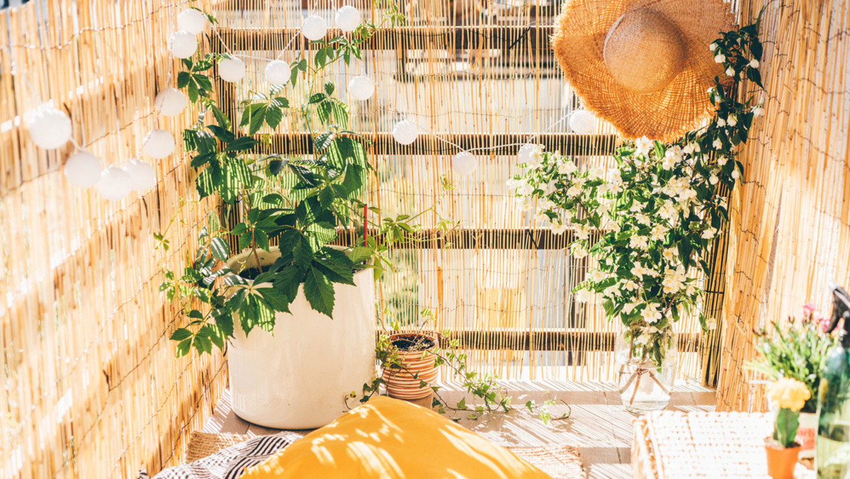 Balkon w tropikalnym stylu. Pomysł na miejską oazę w egzotycznym wydaniu