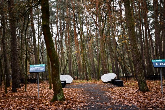 Na terenie cmentarza junikowskiego powstał Las Pamięci fot. UMP