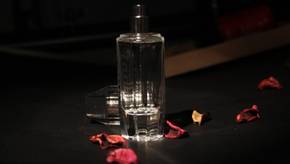 Dezent, günstig, elegant: Unisex-Eau-de-Toilette bis 50 Euro im Vergleich