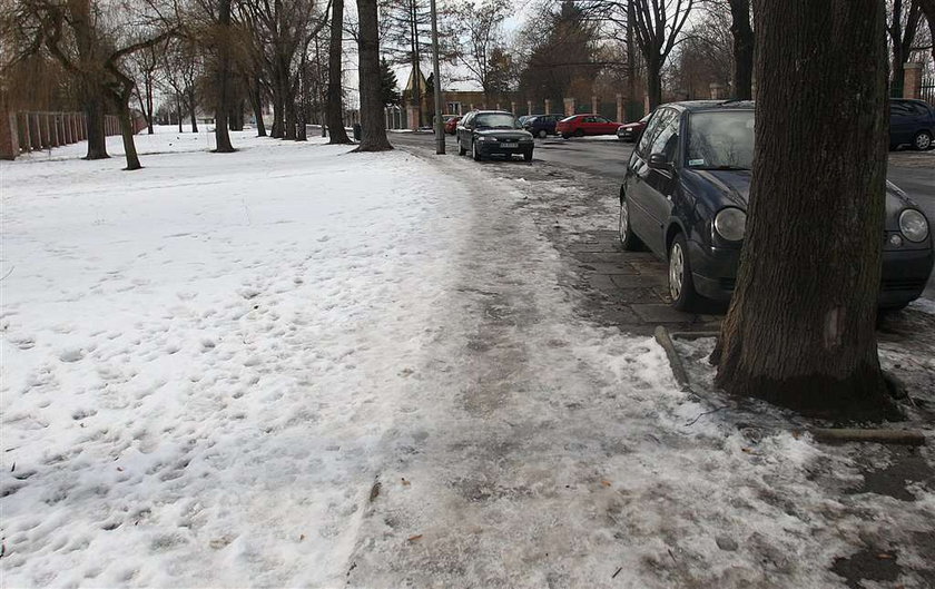 Odśnieżają tylko pod urzędem