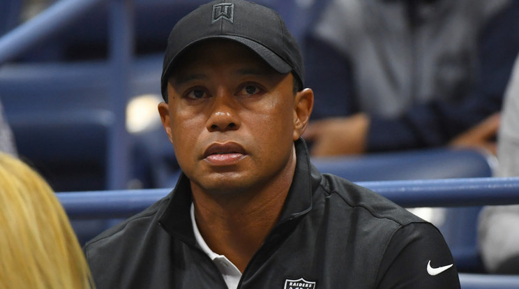 Tiger Woods /Fotó:AFP