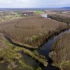 Novi Sad koviljski rit prolece