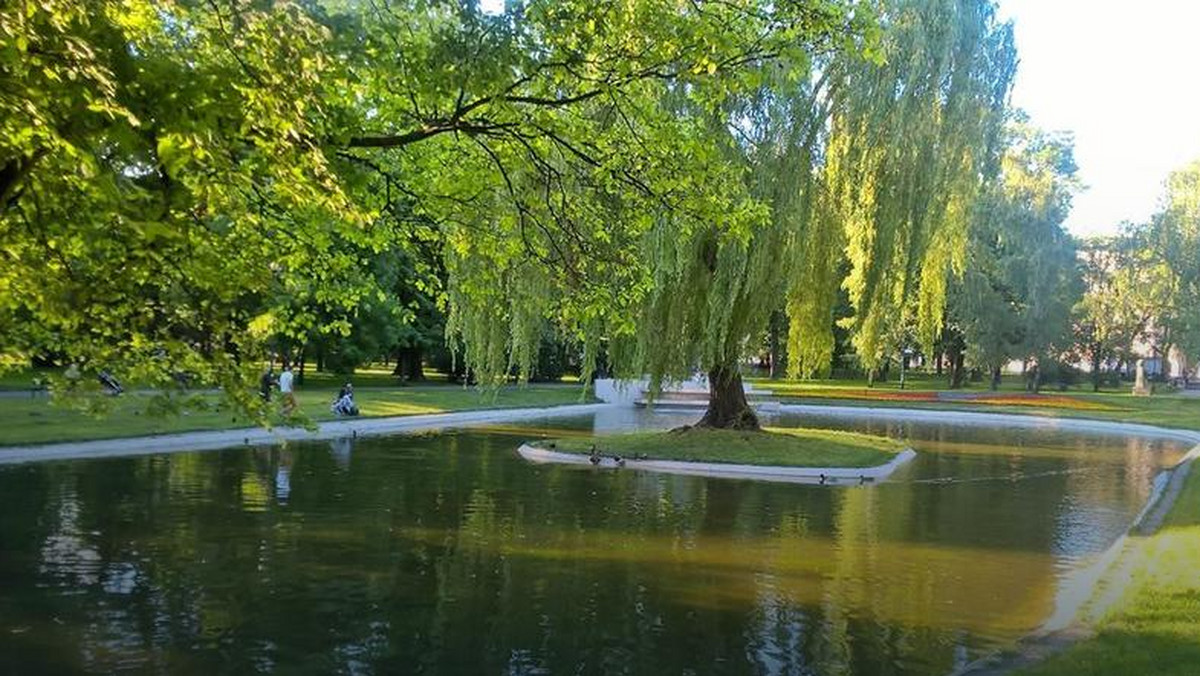 Jeszcze w tym tygodniu Zarząd Zieleni Miejskiej ma rozstrzygnąć przetarg na to, kto wyremontuje Park Krakowski. Swoje oferty złożyło pięć firm. Cena – w zależności od propozycji - waha się od 6,2 milionów do ok. 9 milionów złotych.