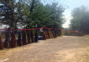 657238_poljana-bezanijska-kosa-1-foto-facebook