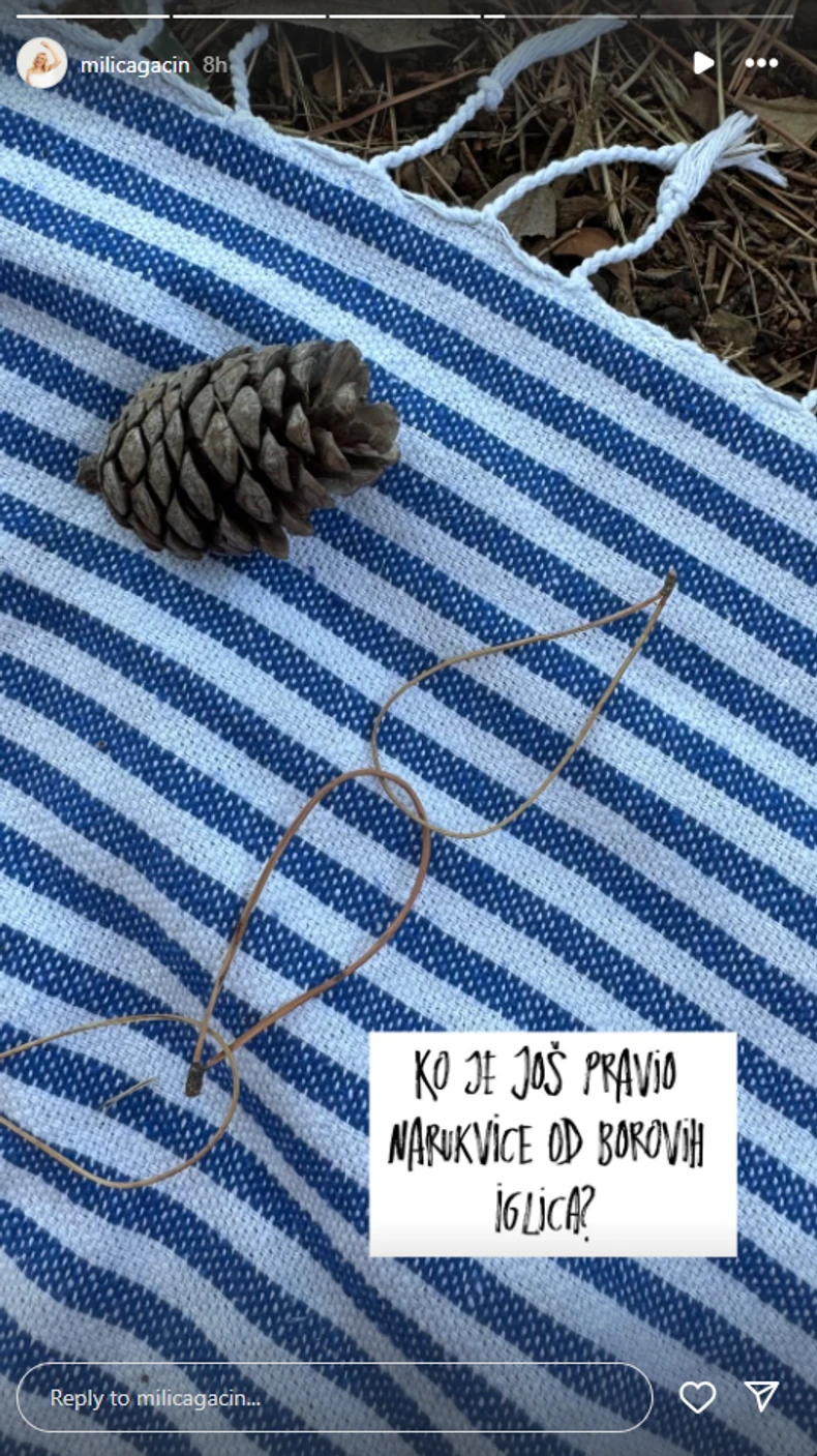 Milica Gacin, objava