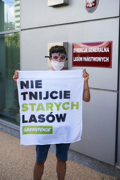 Akcja Greenpeace przed siedzibą dyrekcji Lasów Państwowych w Warszawie