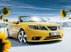 Turbo i śnieg w polu słoneczników…