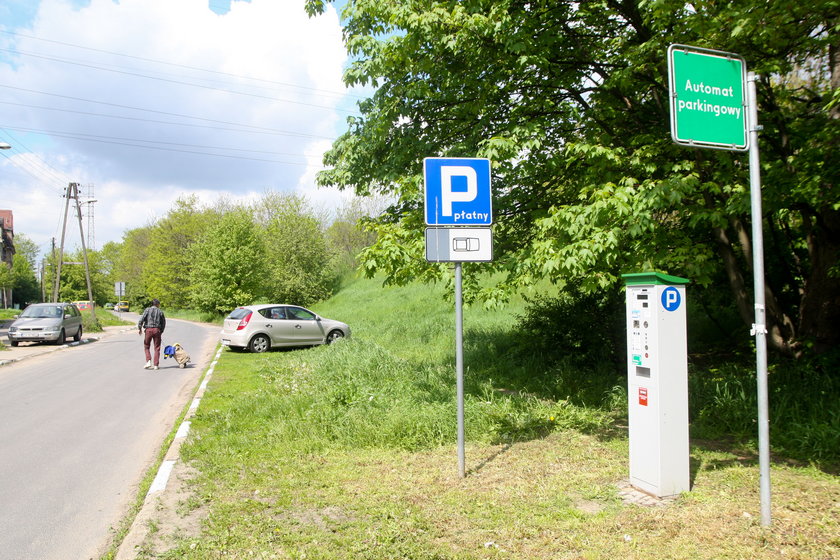 Parkomat w zielonej strefie w Poznaniu