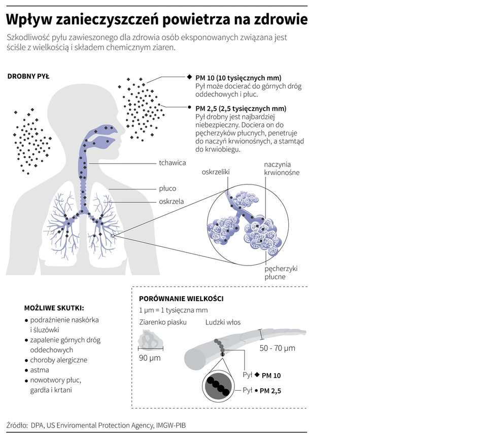 Wpływ smogu na zdrowie