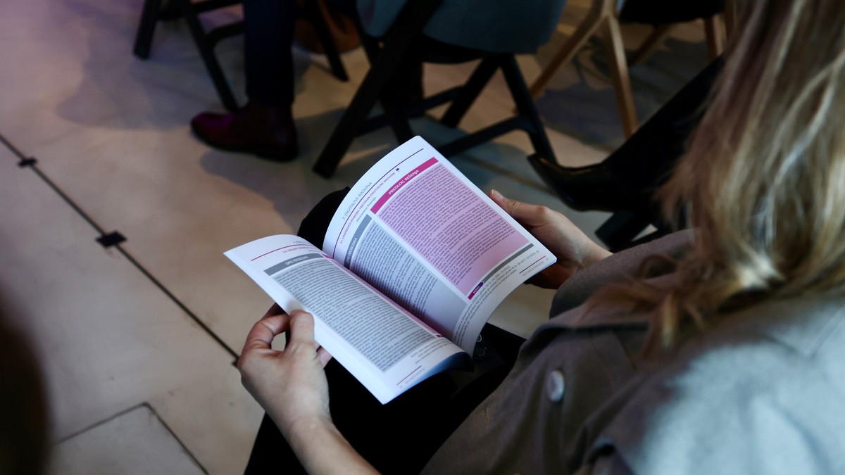 Siva knjiga inovacija