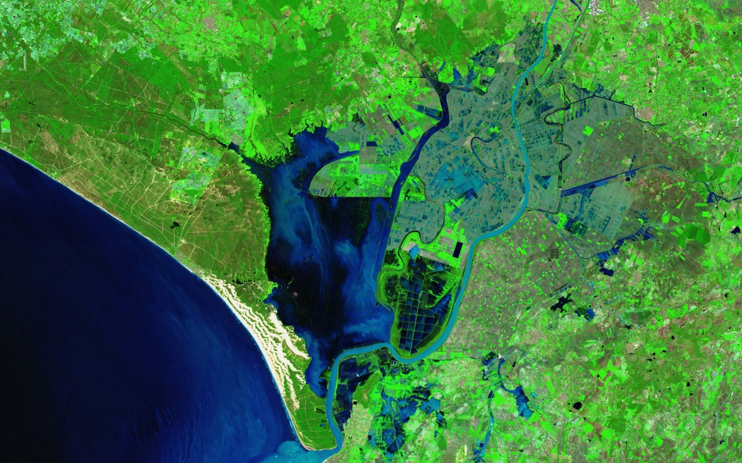 582 litros por metro cuadrado inundan casi por completo las marismas de Doñana