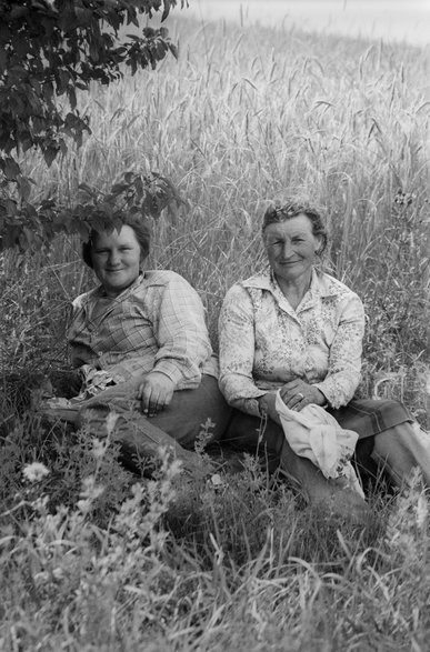 Starsze panie w trakcie odpoczynku podczas żniw w Podgórzu koło Kazimierza Dolnego (lipiec 1990)
